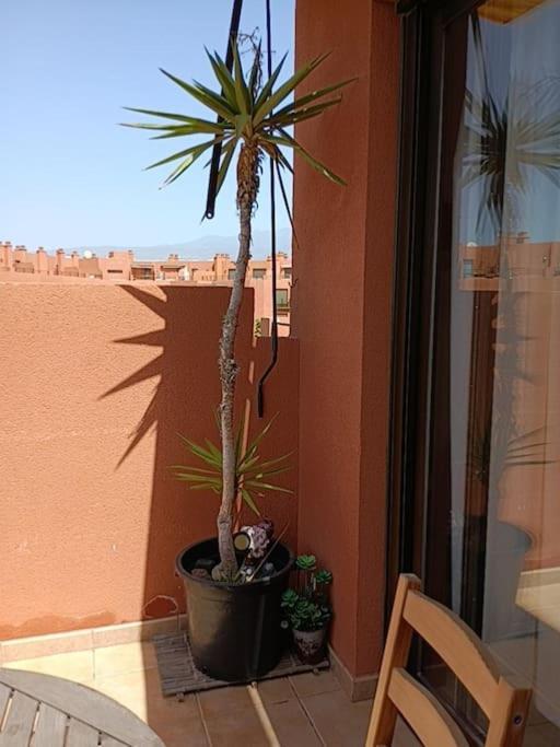 Apartamento Con Vistas El Médano Eksteriør billede